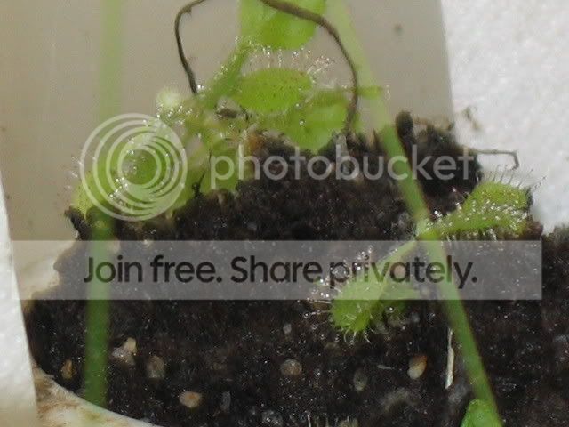 IMG_0066.jpg