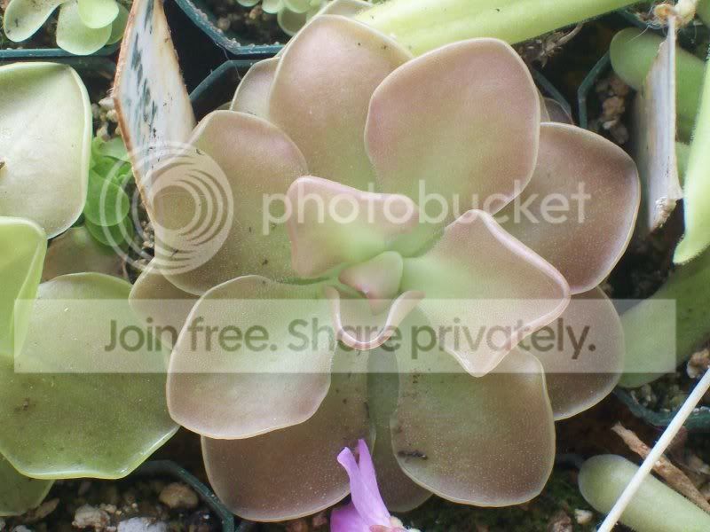 Picture048.jpg