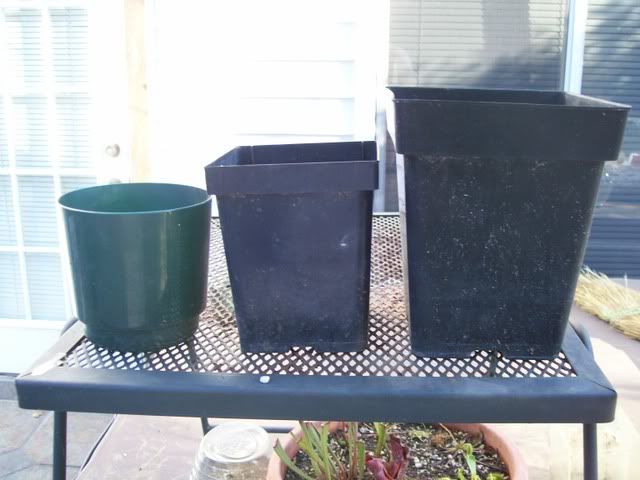 pots1.jpg