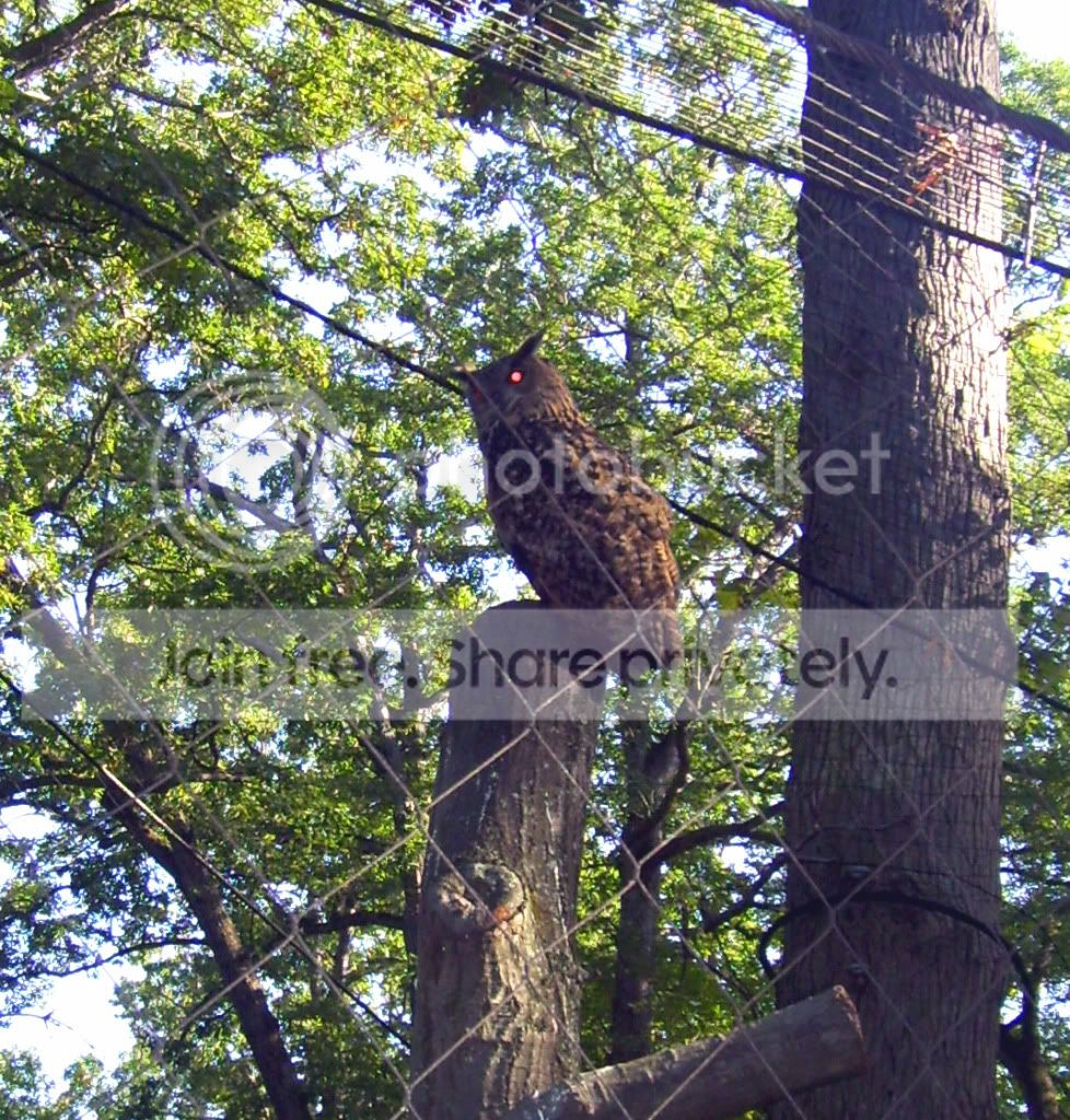 100_5770.jpg