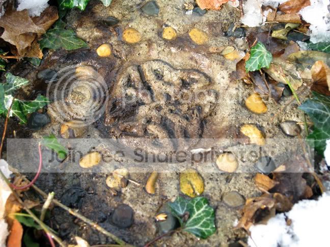 celtic-knot-stepping-stone.jpg