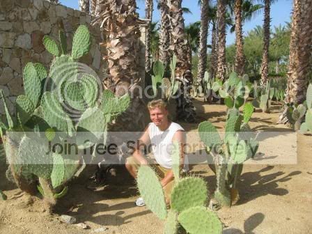 CABOCactus030.jpg