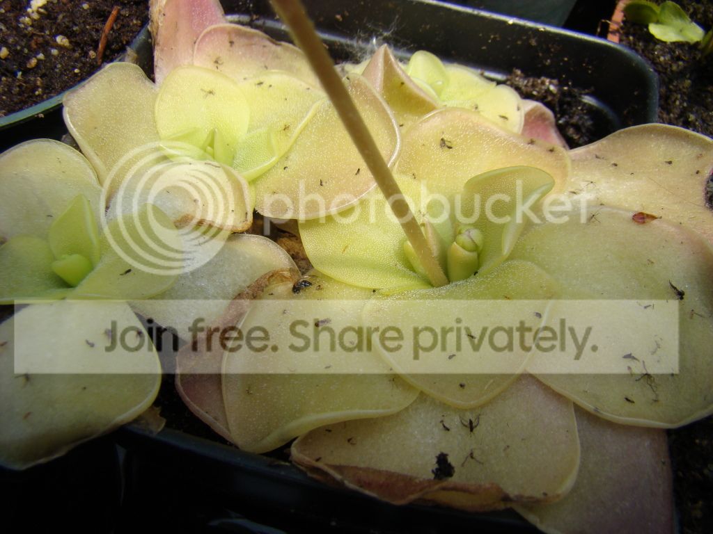 DSC05455.jpg