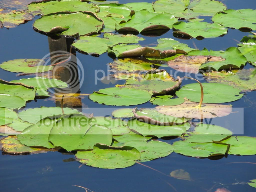 IMG_6381.jpg