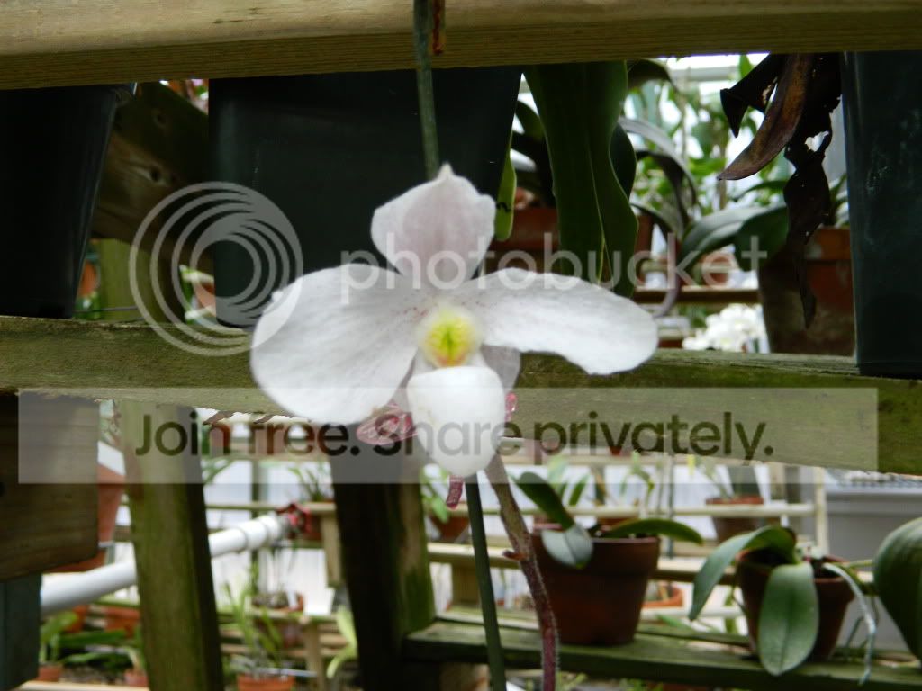 DSCN0188.jpg