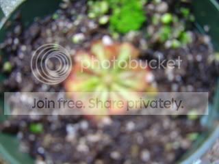 CPs054.jpg