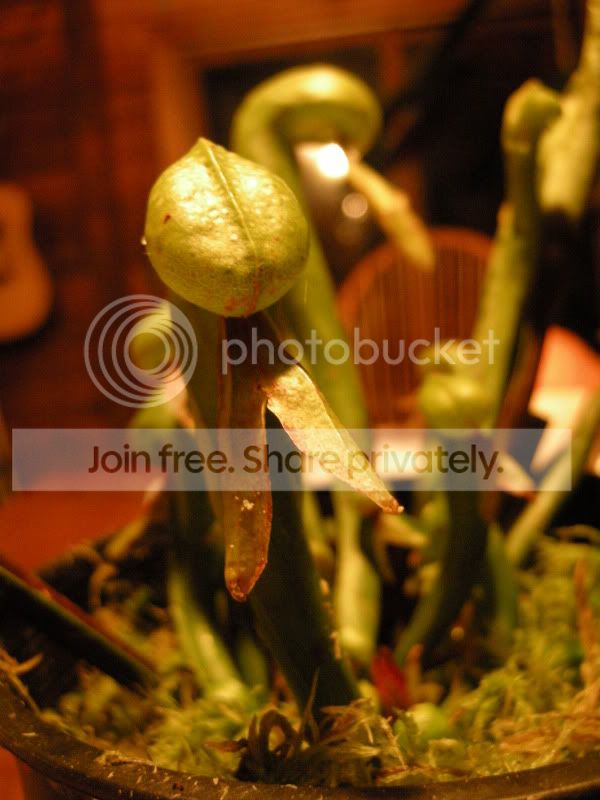 DSCN5713.jpg