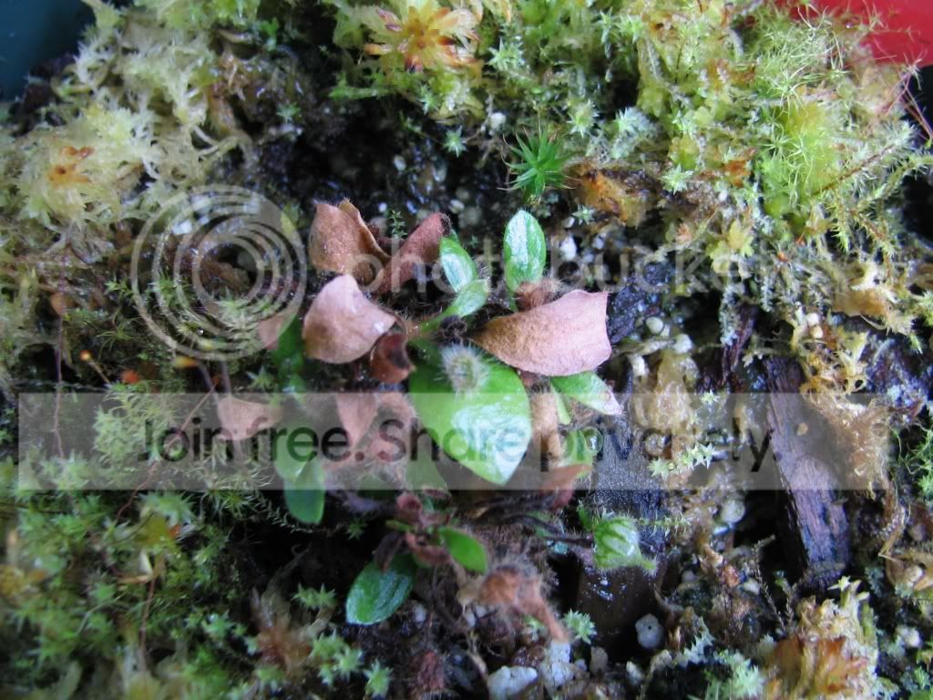 IMG_6316.jpg