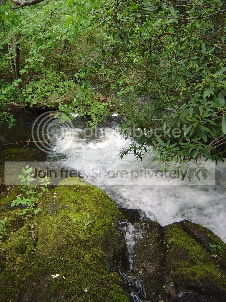 DSC03775.jpg