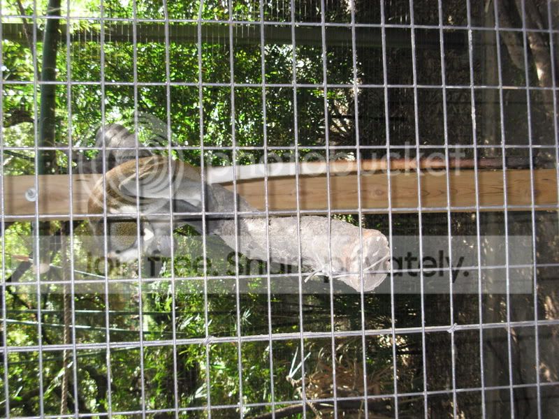 DSCN0043.jpg