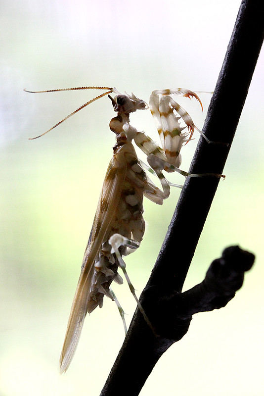 7546689630_a0636ce847_c.jpg