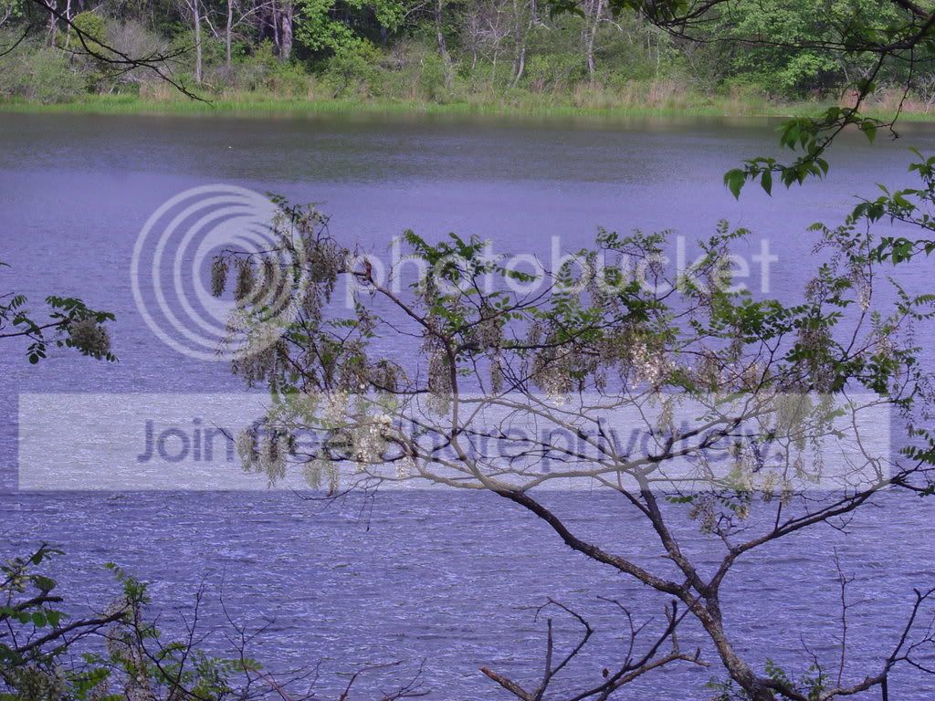 DSC03824.jpg