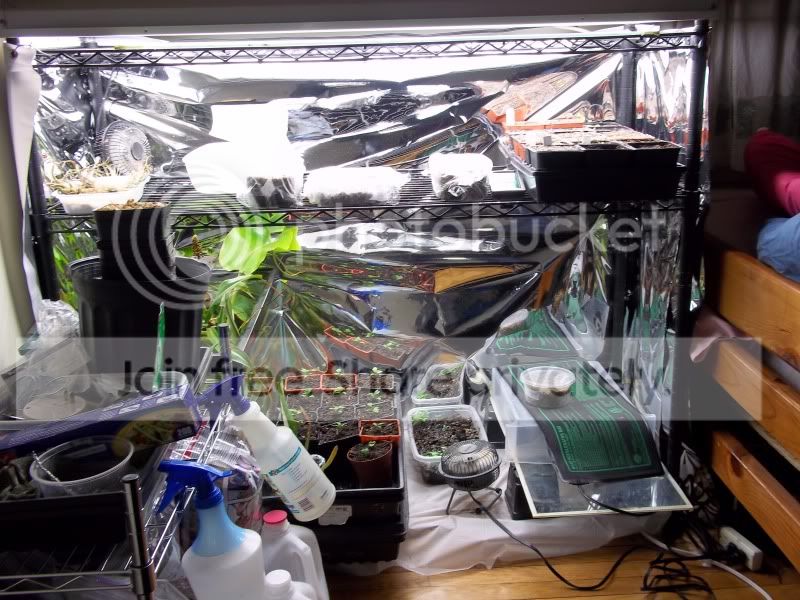 jamiecamera032.jpg