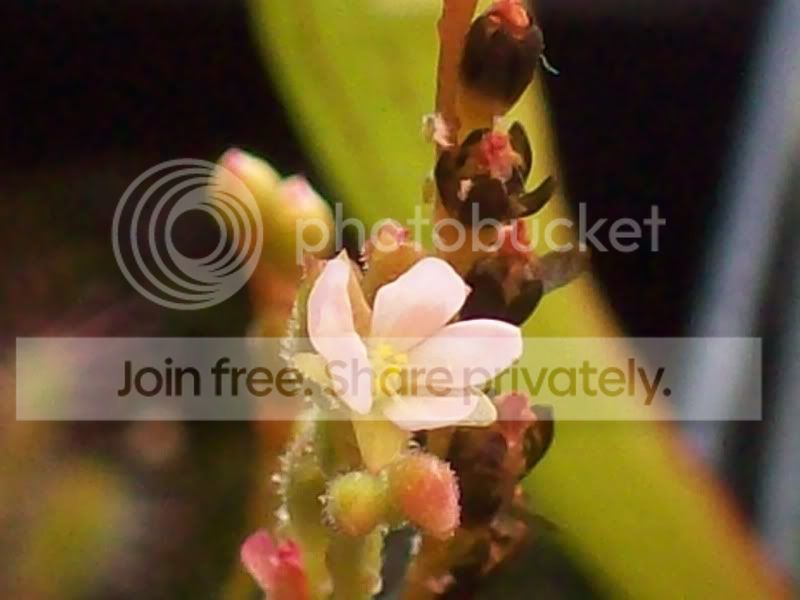100_9730.jpg