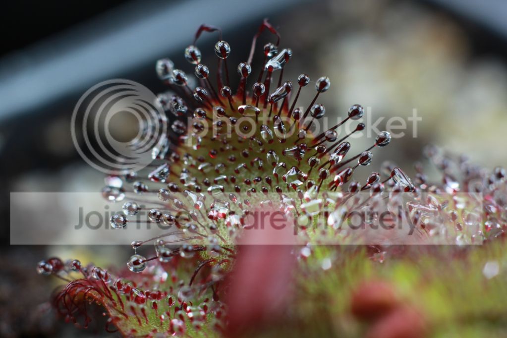 80b4221381b231051a3ad120cb9a98ac.jpg