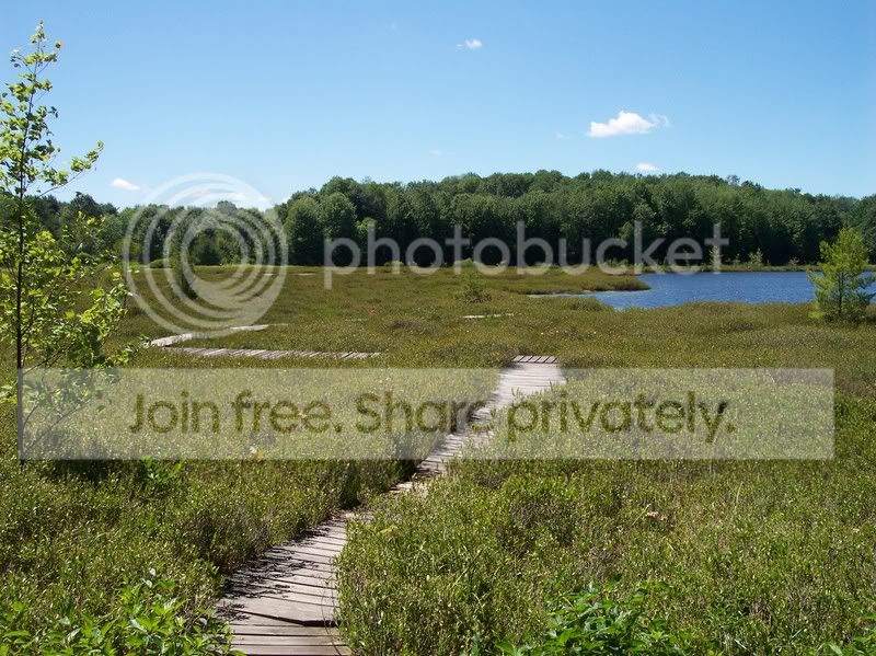 MossLake008.jpg
