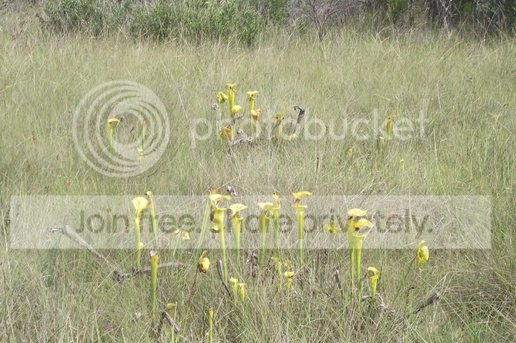 DSCF8564.jpg