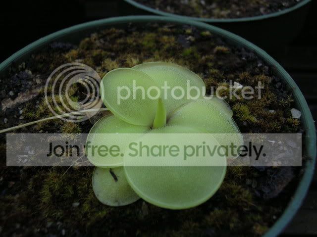 DSCN6878.jpg