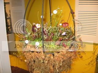 IMG_7070.jpg