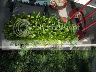 DSCN0021-3.jpg