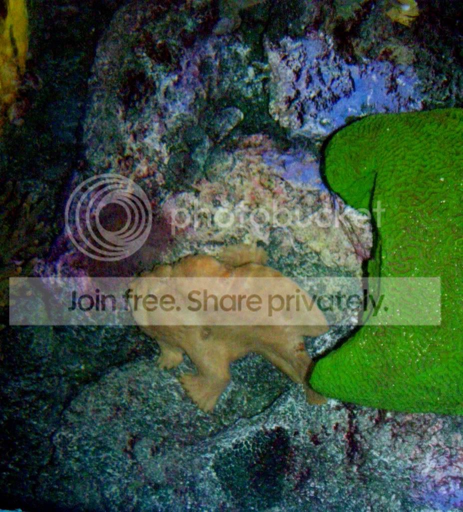 100_6124.jpg