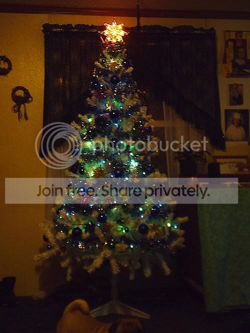 xmasstreepics05.jpg