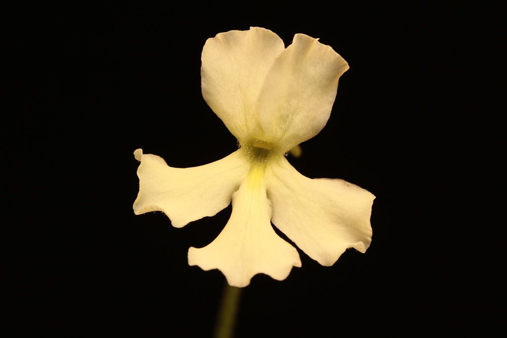 IMG_6430_zpssamk7xzo.jpg