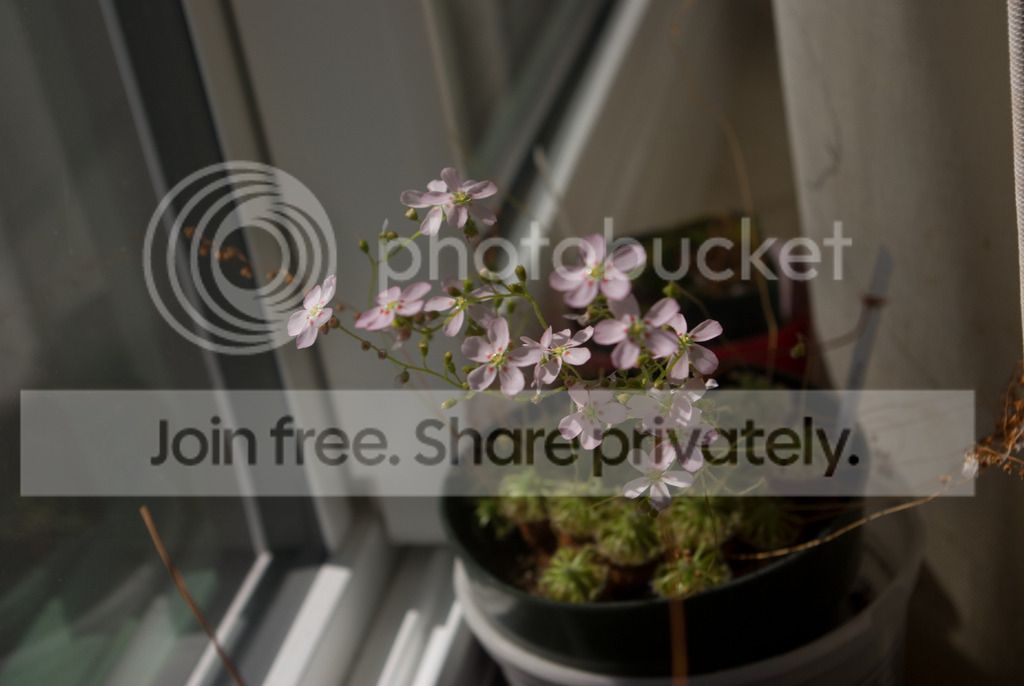 IMGP2256_zpstblwdbqk.jpg