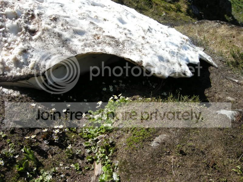 DSCN6226.jpg