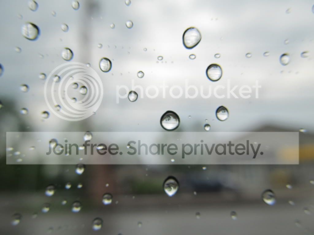 PJAS2011067.jpg
