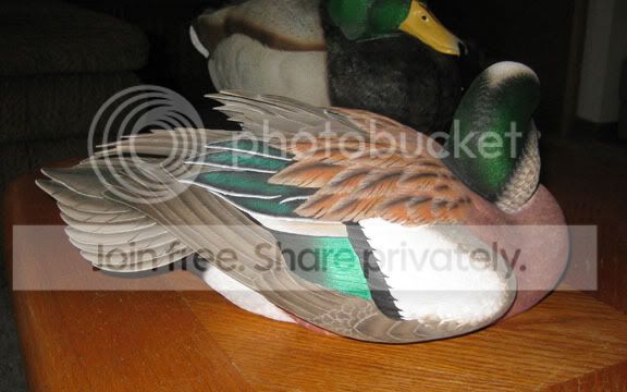 IMG_0715.jpg