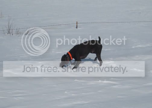IMG_1153.jpg