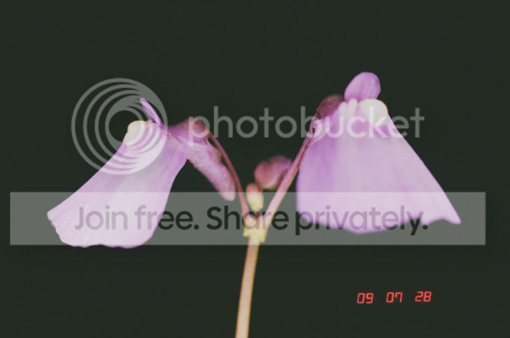 01230013copy.jpg