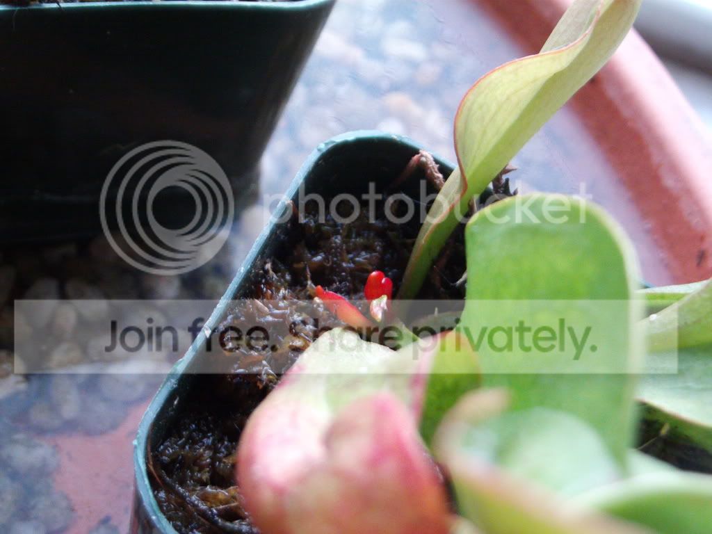 FILE1308.jpg