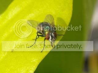 DSCN0287-2.jpg