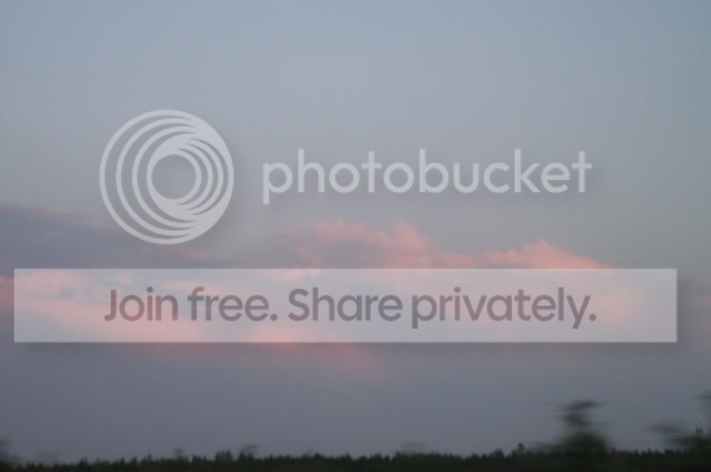 DSCF8856.jpg