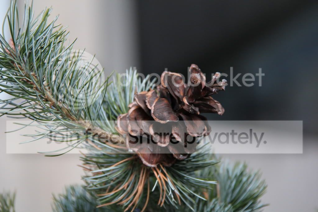 IMG_1184.jpg