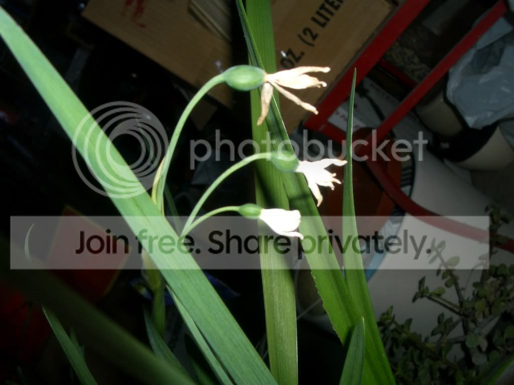 IMGP6196.jpg