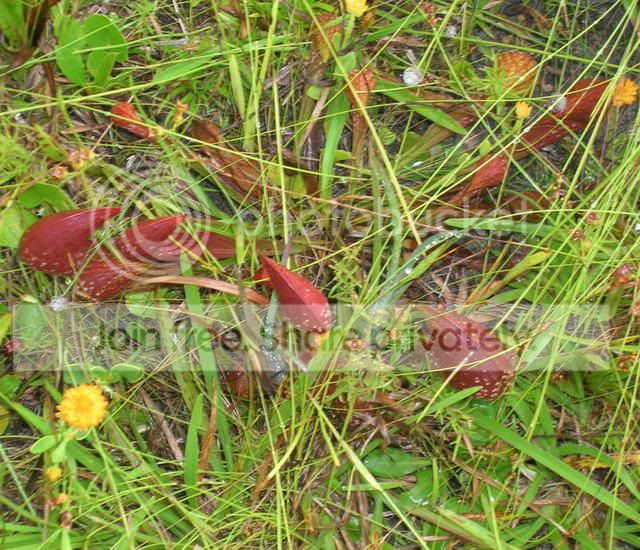 DSCN1777.jpg