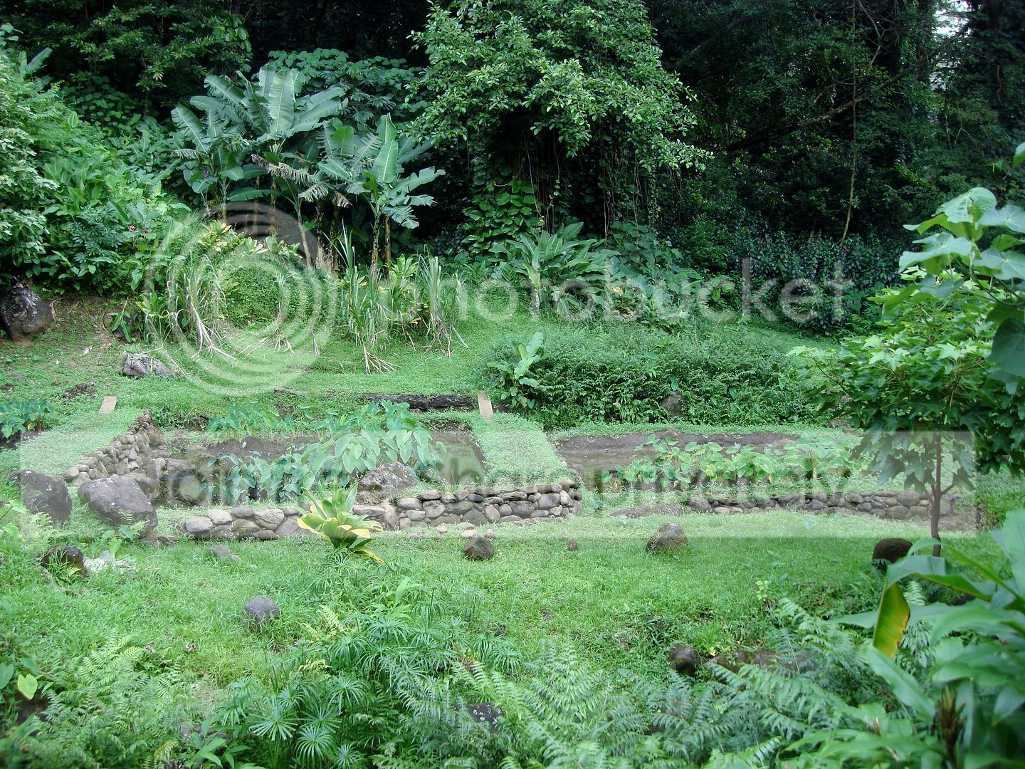 DSC08008.jpg