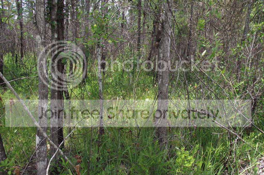 DSCF8678.jpg