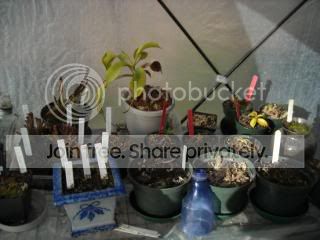 DSCN0248-1.jpg