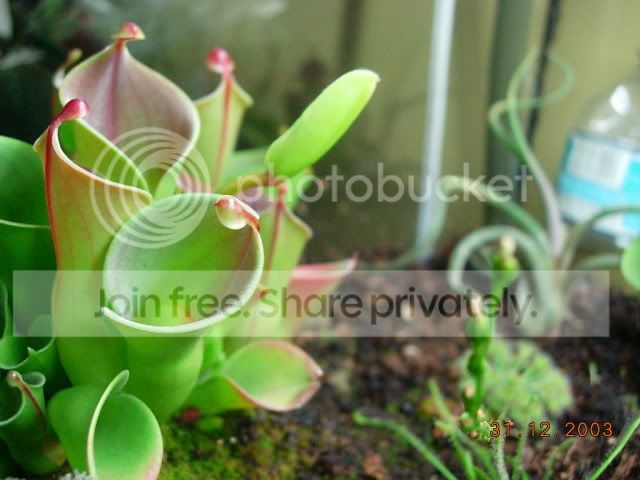 DSCN3414.jpg