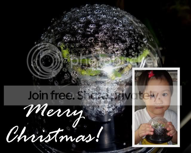 merry_christmas.jpg