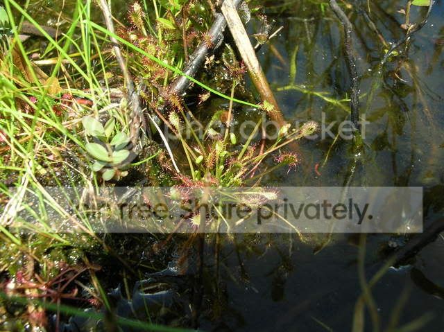 DSCN4726.jpg
