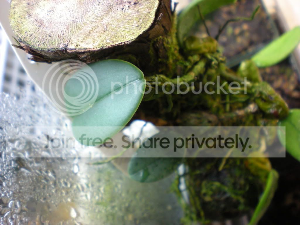 DSCN3483.jpg