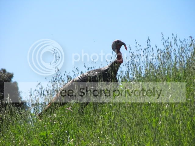 IMG_6730.jpg
