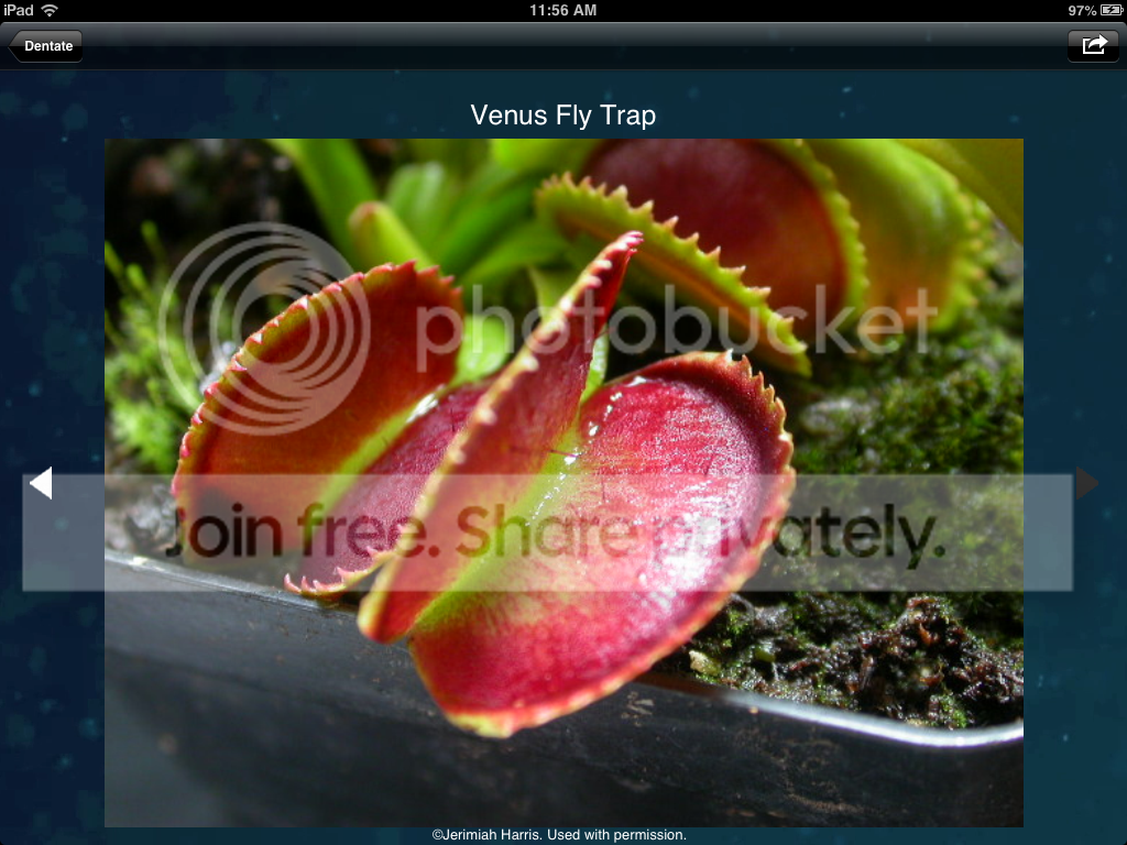 Screenshot20130112115643_zps4bf731da.png