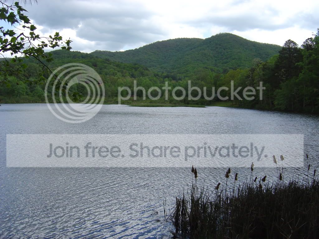 DSC03755.jpg