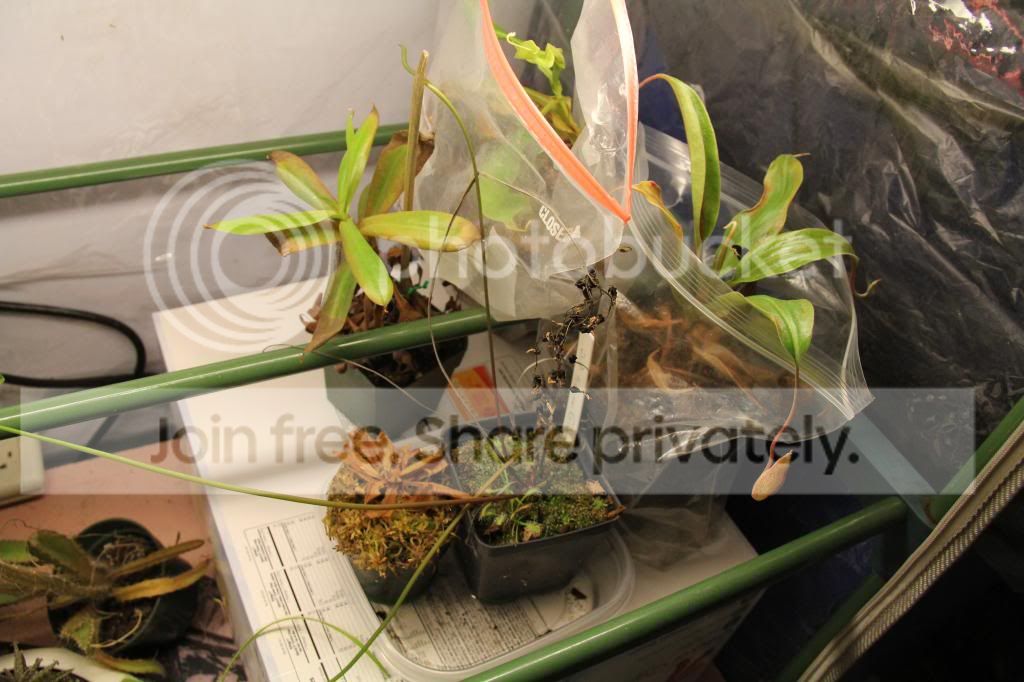 IMG_2207_zpsb2c63d30.jpg